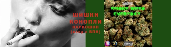 spice Няндома