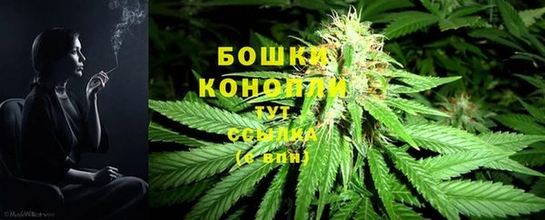 соль ск Гусиноозёрск