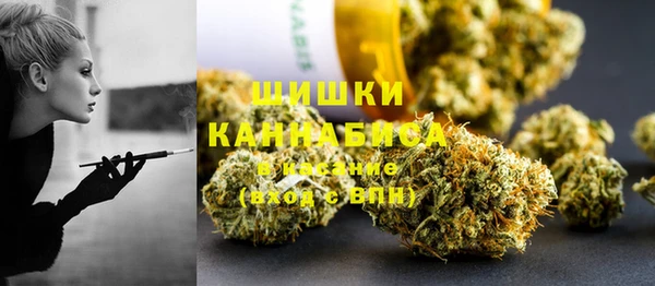 твердый Нягань
