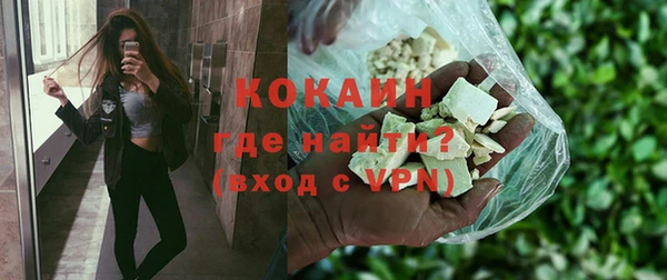 твердый Нягань